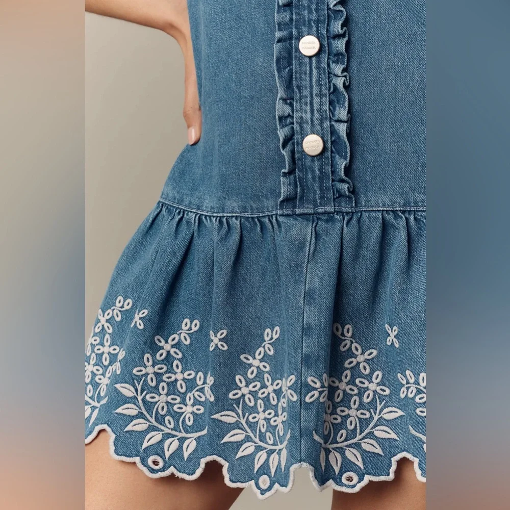 Anthropologie Damson Madder Lana Drop-Waist Mini Dress - Picture 4 of 4